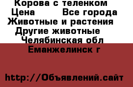 Корова с теленком › Цена ­ 69 - Все города Животные и растения » Другие животные   . Челябинская обл.,Еманжелинск г.